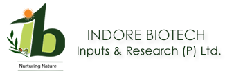 Indore Bio Agri Indputs & Research Pvt Ltd